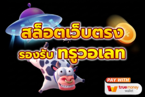 ระบบฝากถอนวอเลท True Wallet